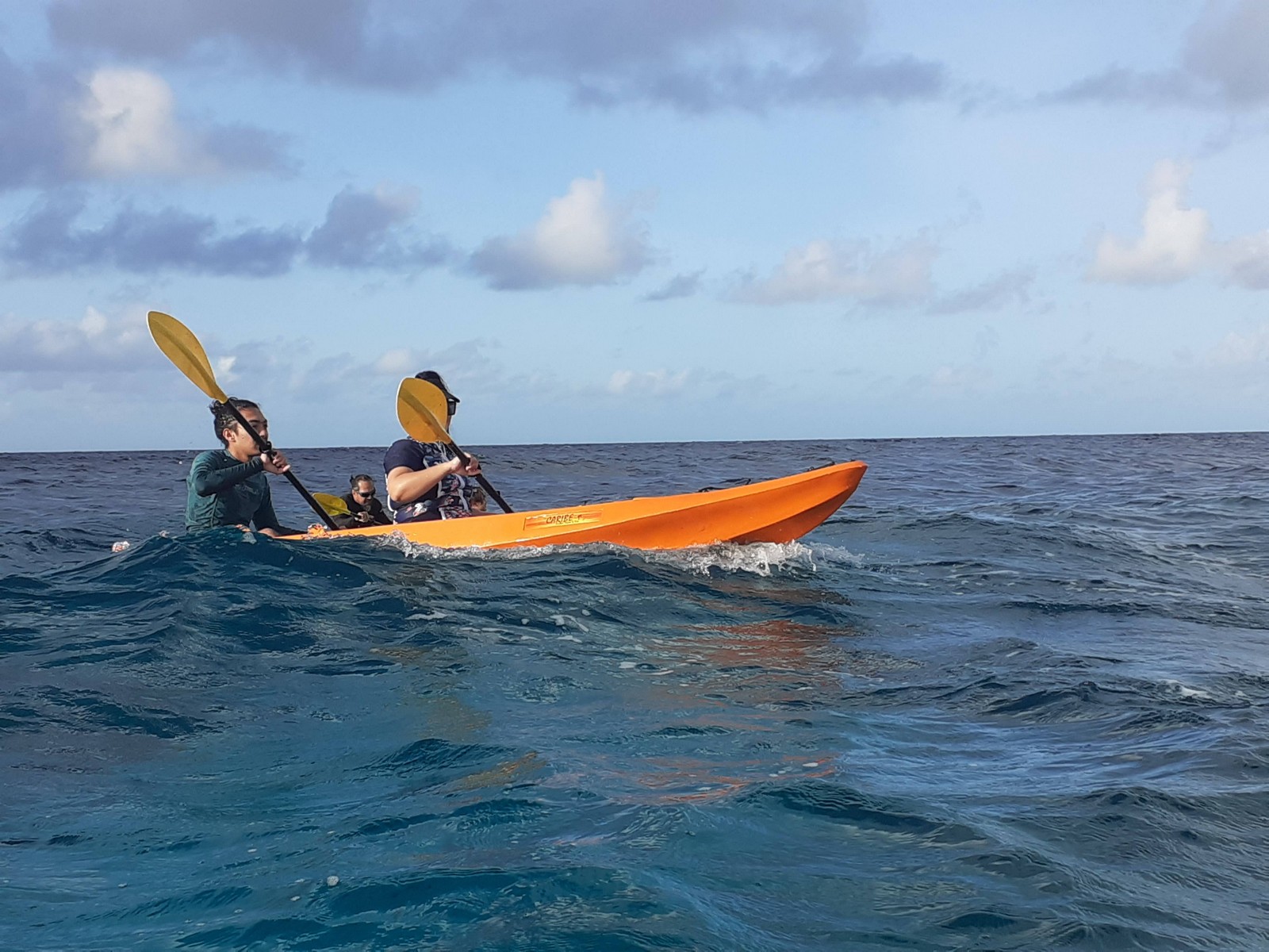 Gallery Clear Kayak Aruba