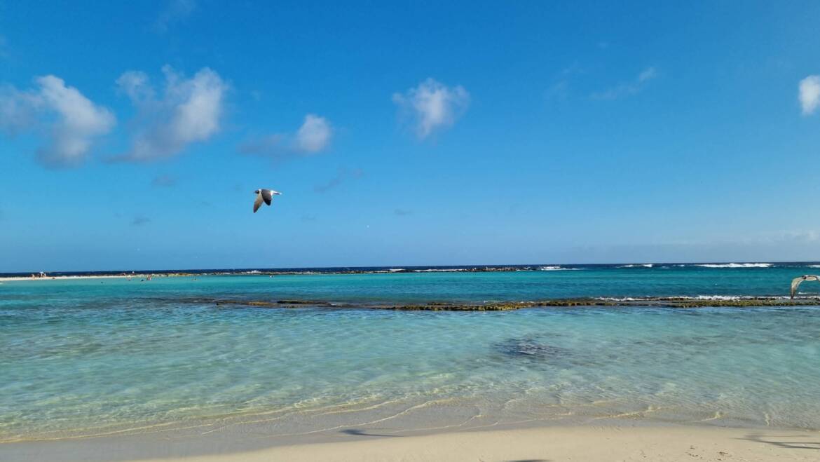 Escape to Paradise Aruba Beaches