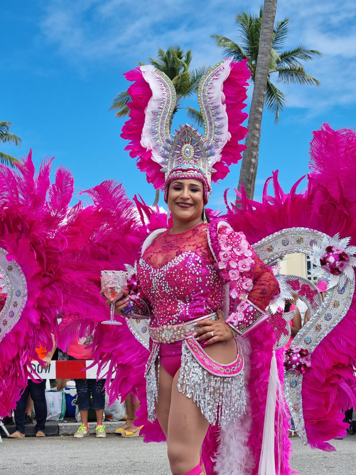 Aruba Carnival 70 Kickoff: November 2023 Celebrations » Clear